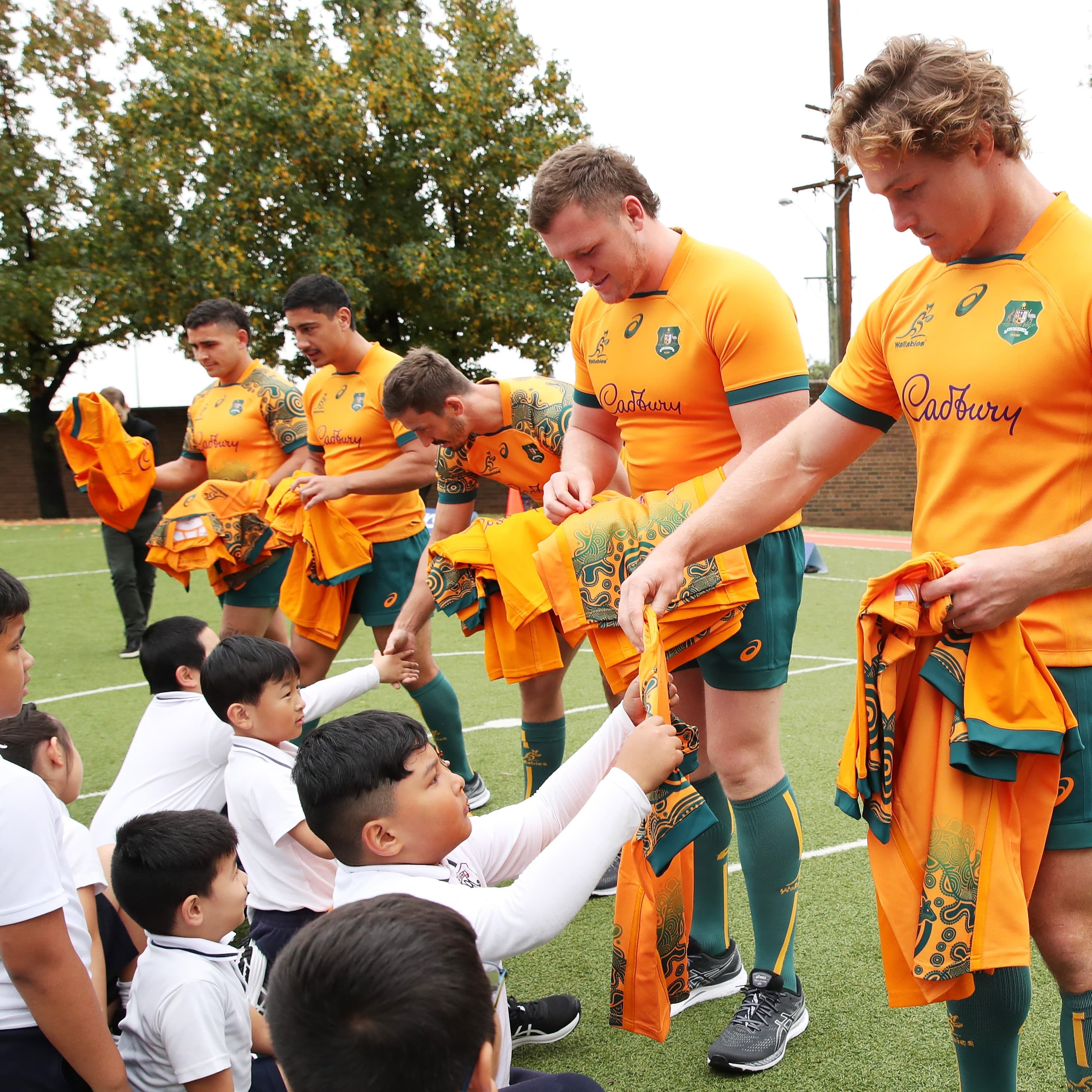 wallabies jerse