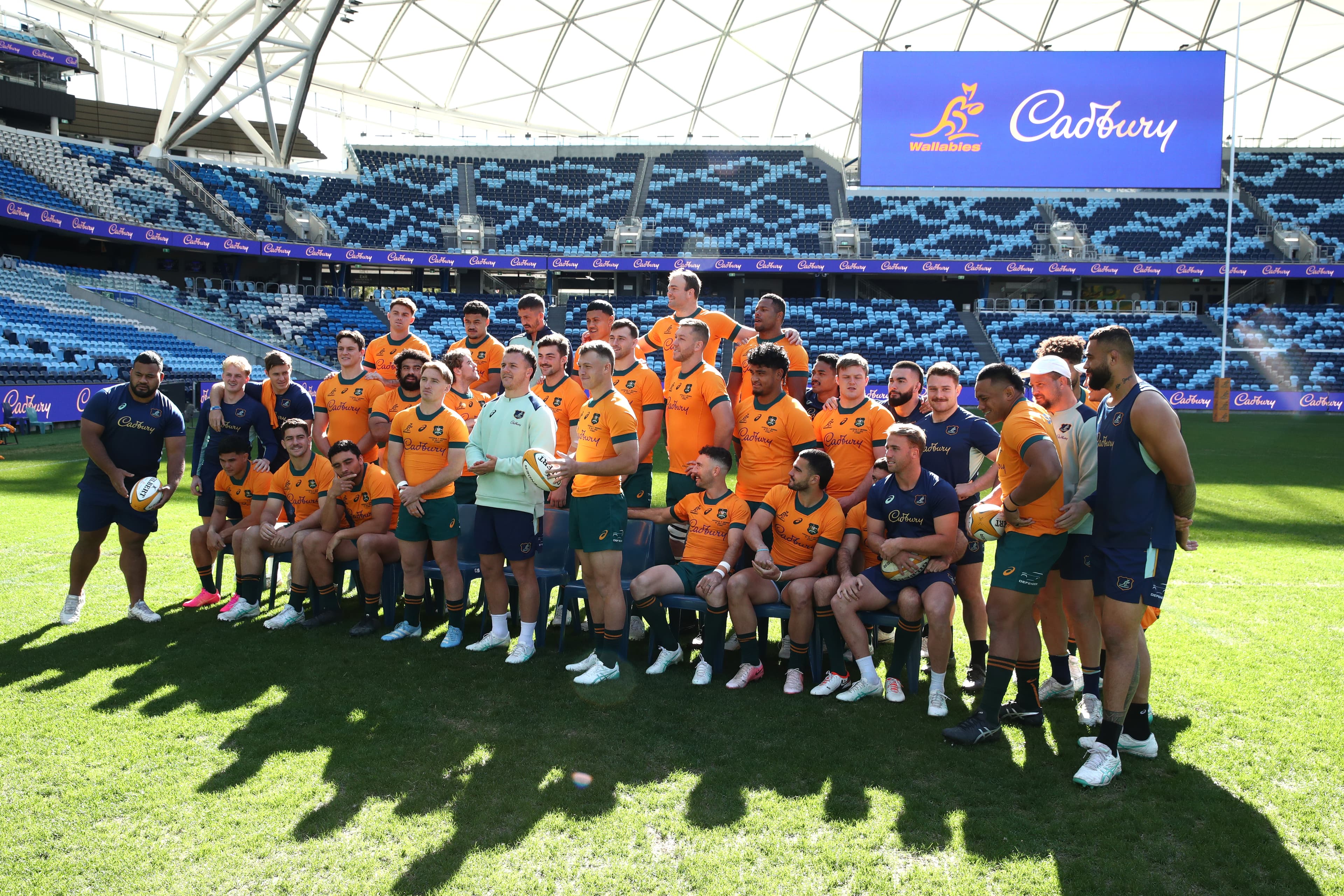 Wallabies candid