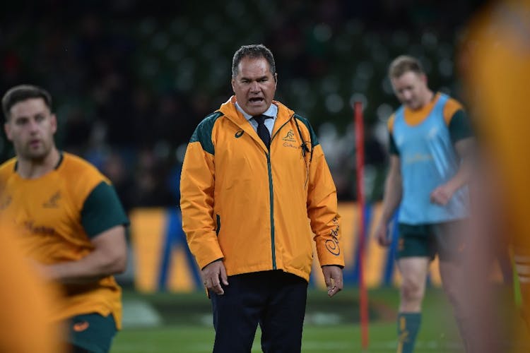 The Wallabies are counting the cost of a brutal Ireland defeat. Photo: Getty Images