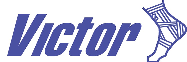 Victor Sports Logo